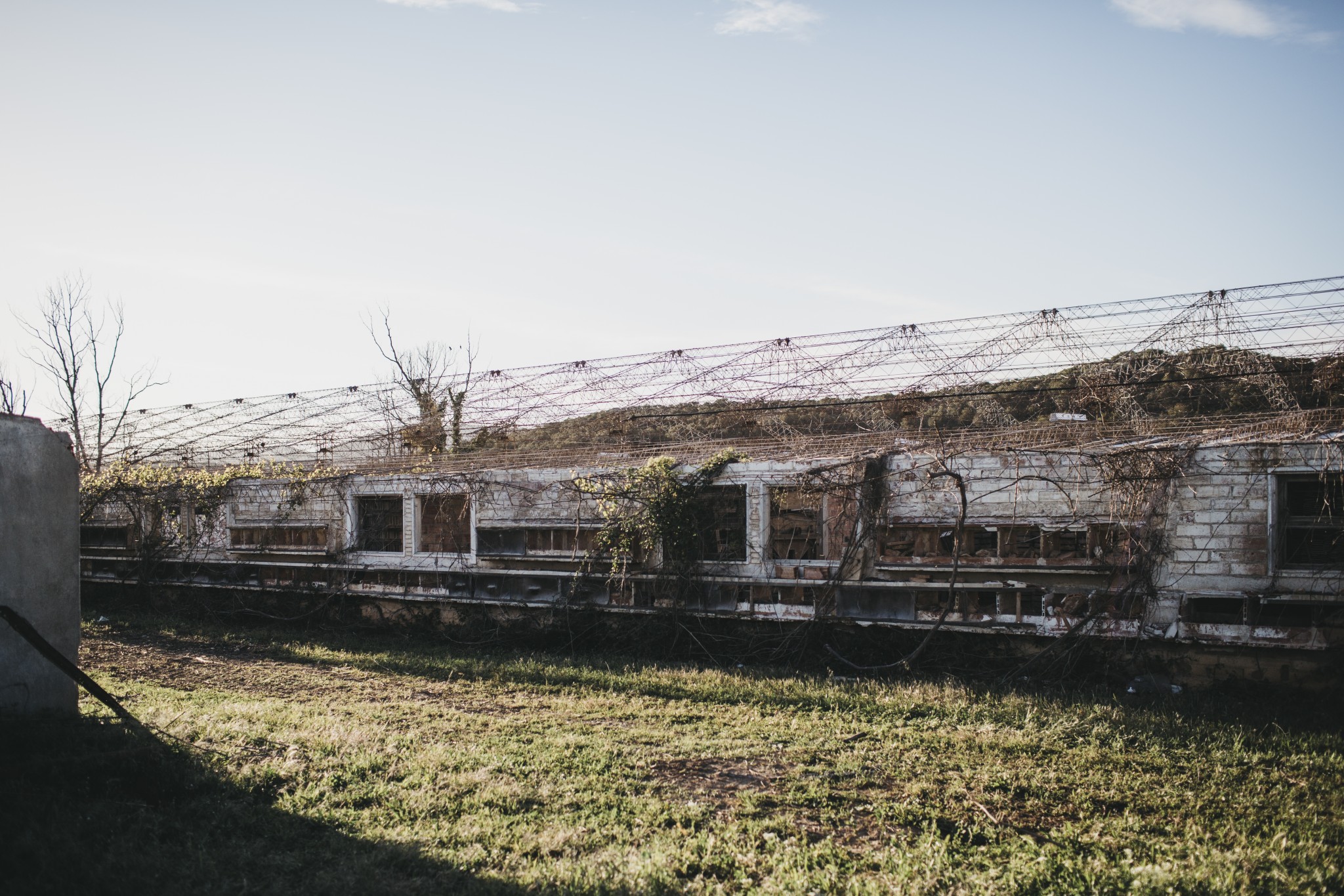naves agricolas