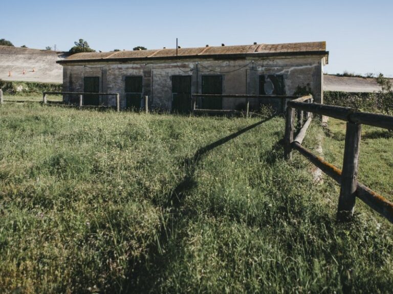 Coneixes la història dels boxs de l'Autòdrom?