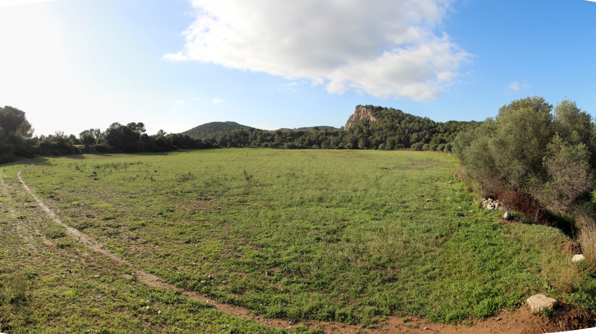 Deu accions per preservar la connectivitat ecològica en l’entorn de l’Autòdrom Terramar 1