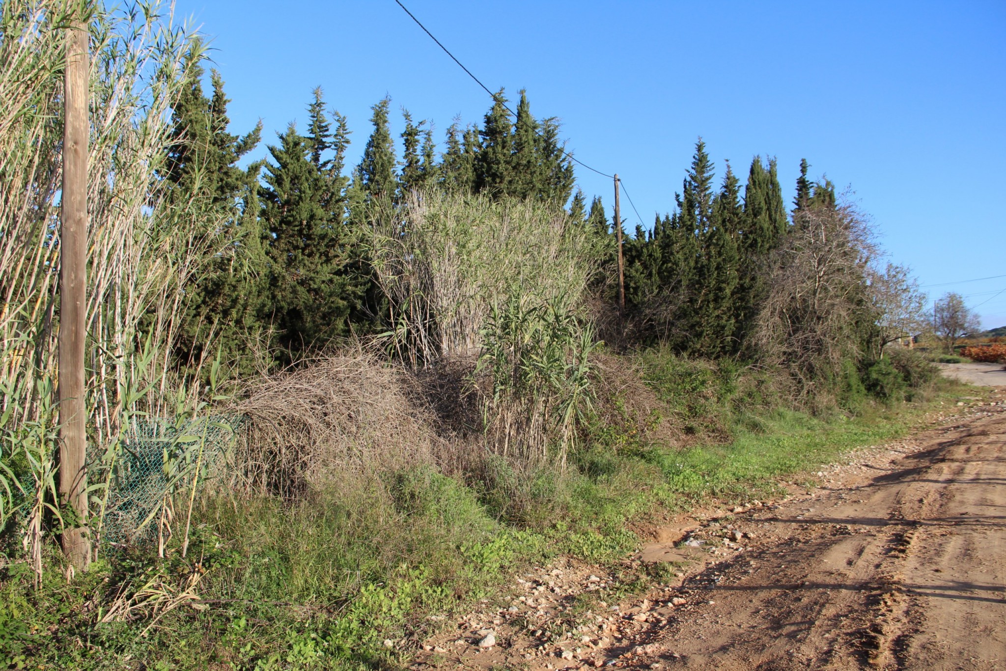 Deu accions per preservar la connectivitat ecològica en l’entorn de l’Autòdrom Terramar 3